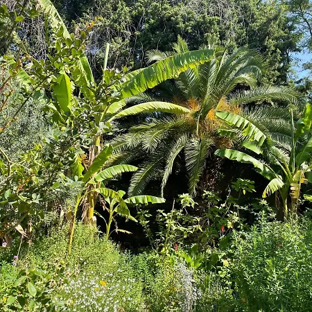 Leona Clim Park