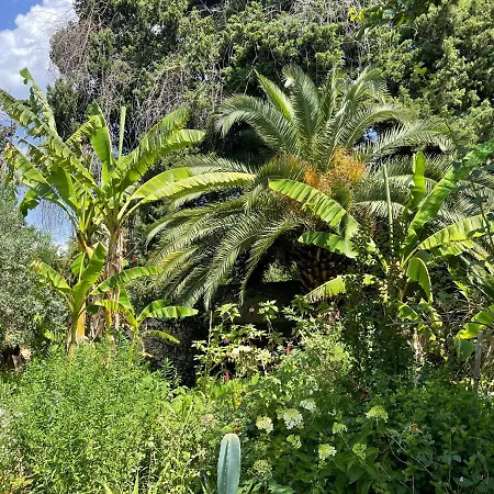 Leona Clim Park Bollène